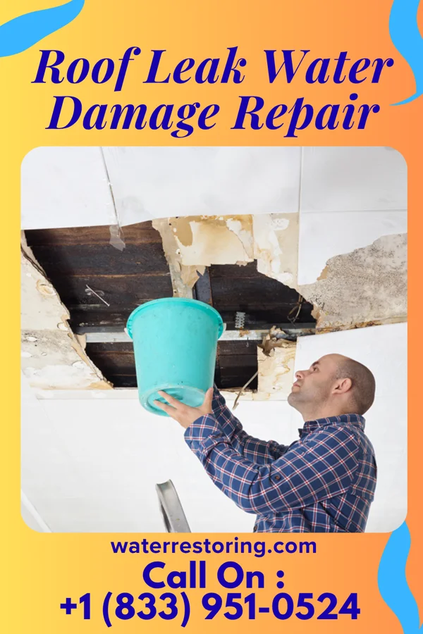 Roof Leak Water Damage Repair in Temecula, CA